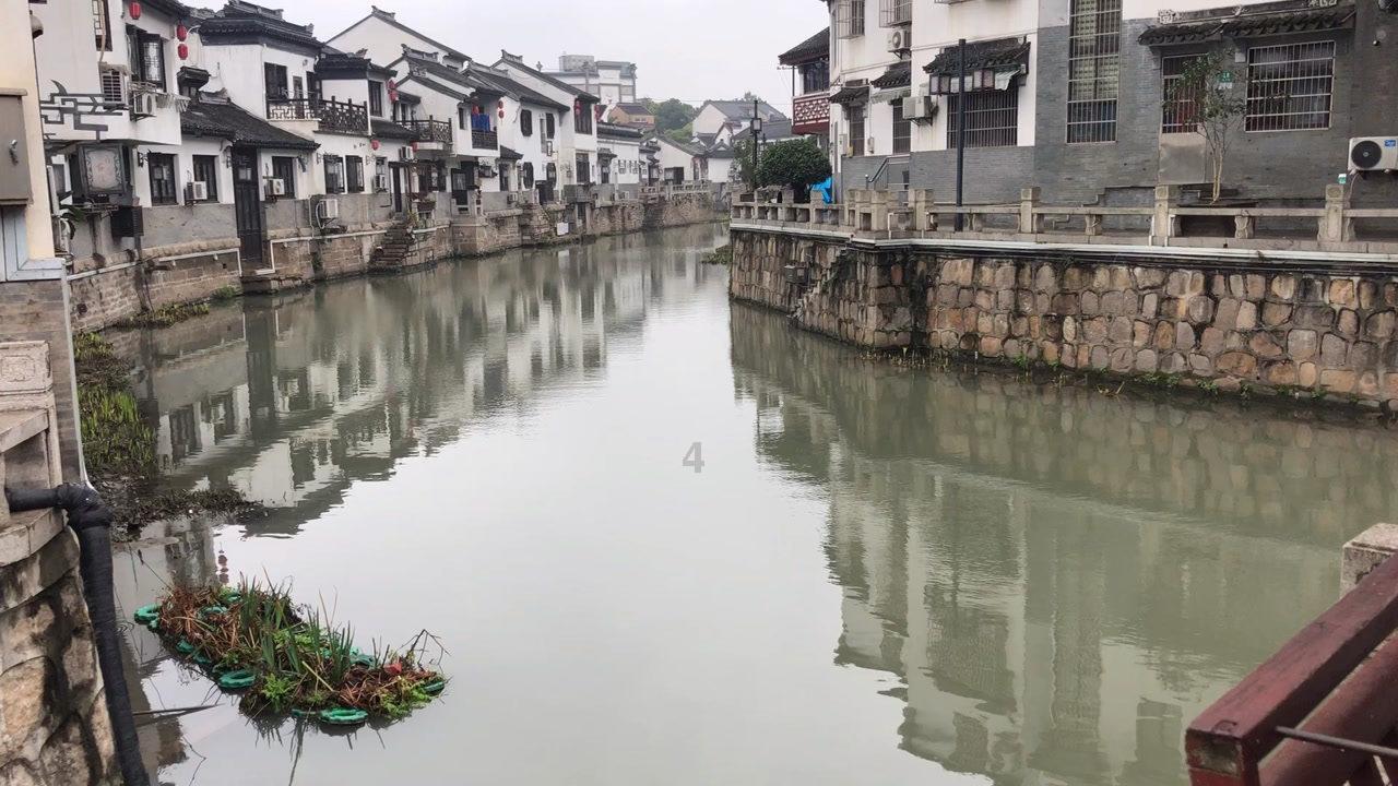 养宠物适合用什么材料的沙发?-专业问答网 首页